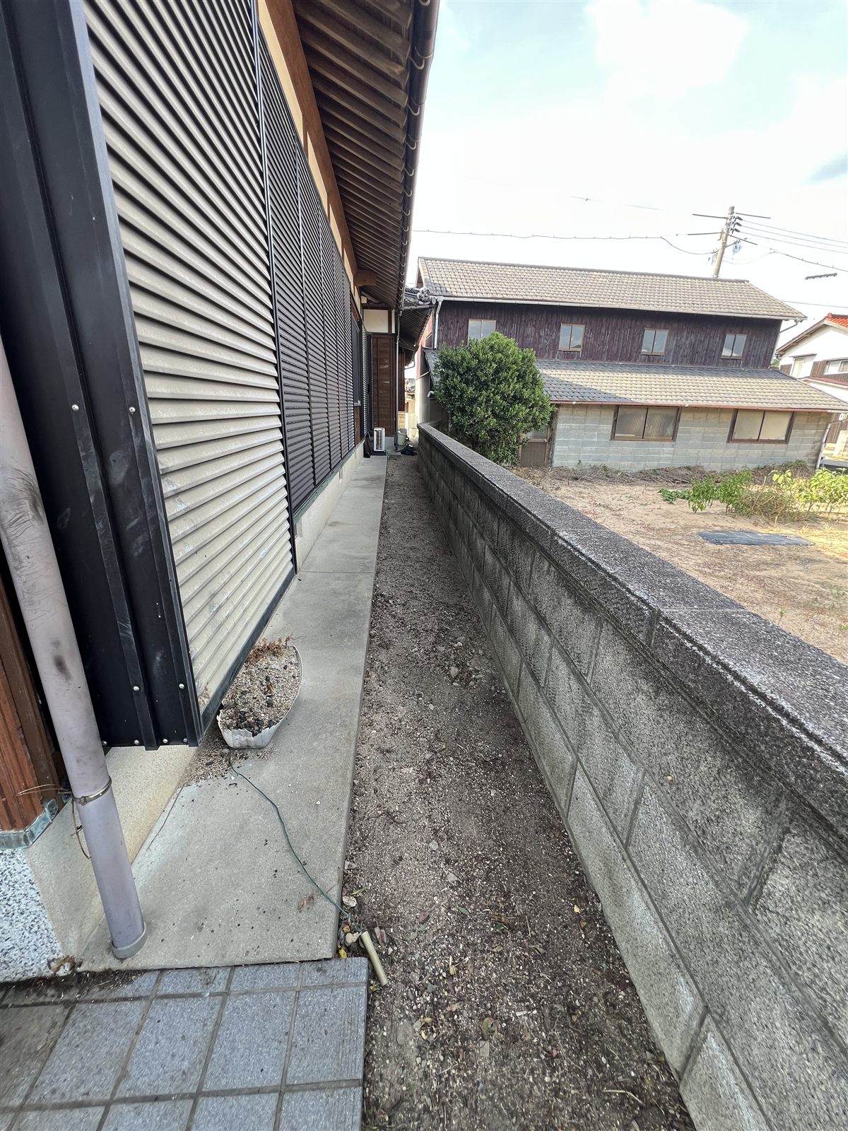 犬走りの草抜き後