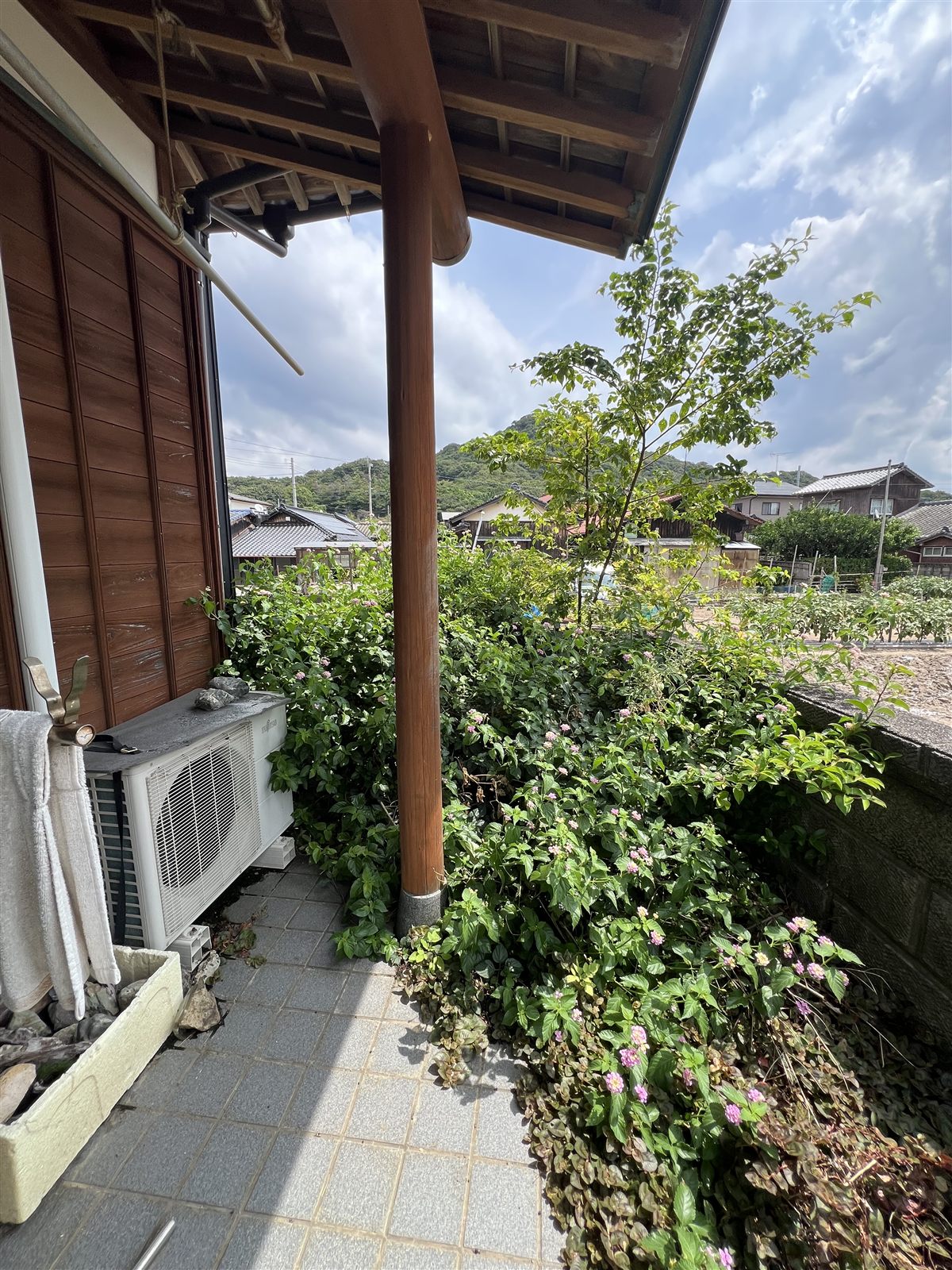 草抜き前